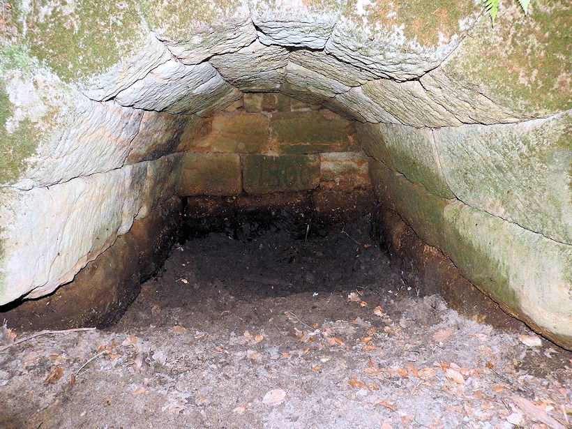 studánka Za Hánlova (7495)