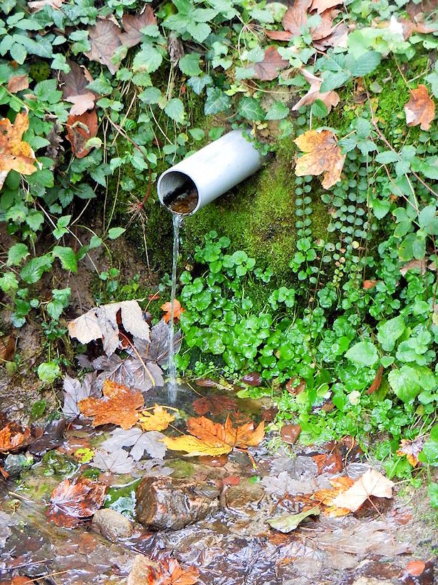 studánka bez jména (7496)