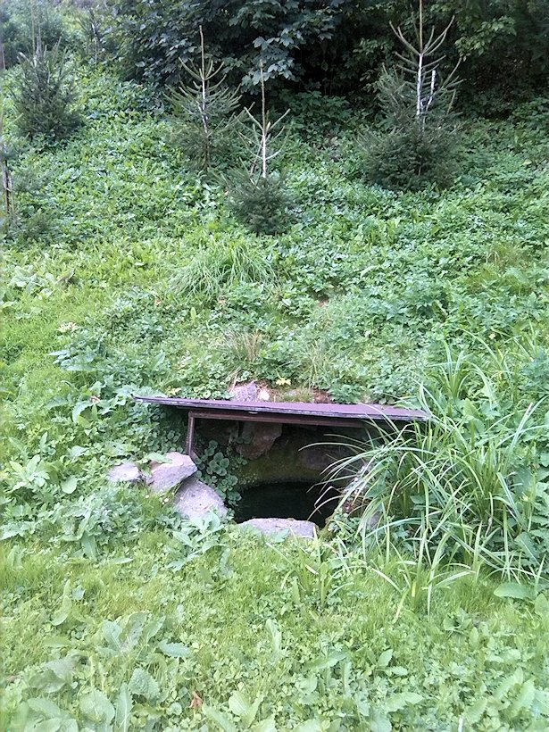 studánka Na dolním konci (7501)