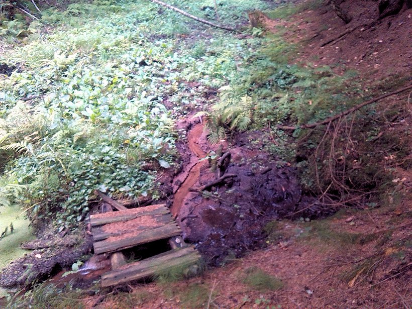 studánka Za peklem (7504)