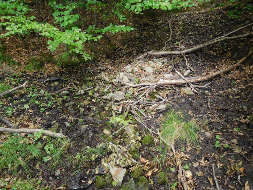 studánka Za Tlustou (7505)