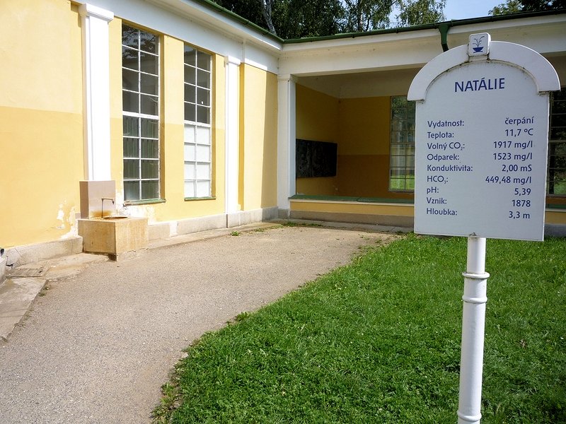 pramen Natálie (7507)