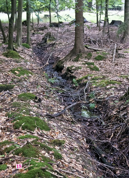 prameniště Geografický pramen Oslavy (7511)