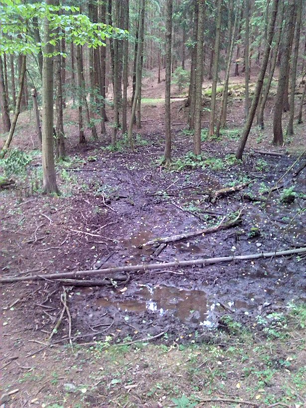 prameniště Pod Serpentinami (7516)
