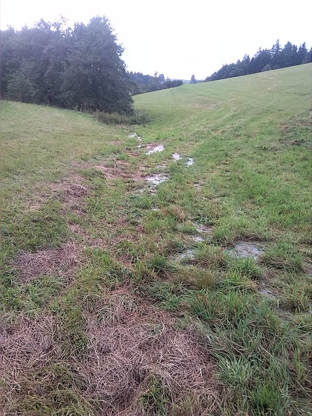 prameniště Nad Zlomem (7534)