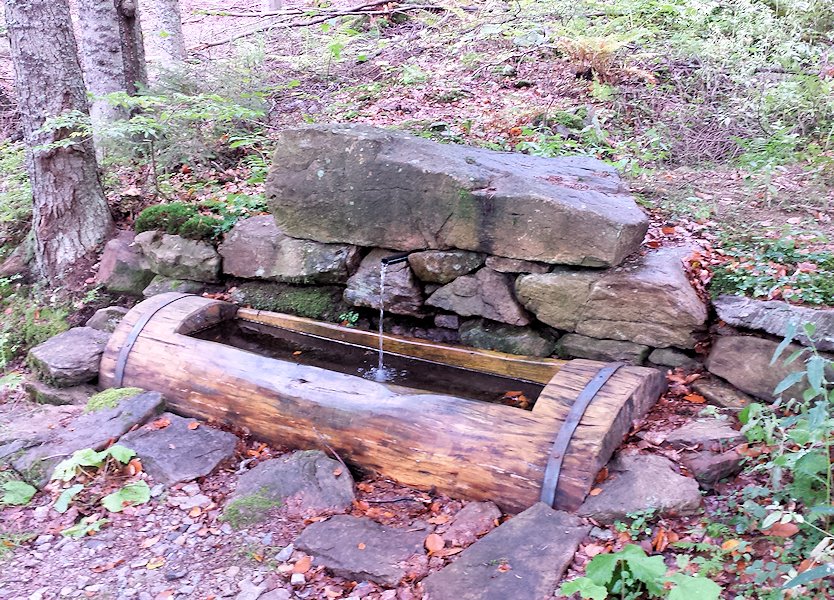 studánka bez jména (7537)