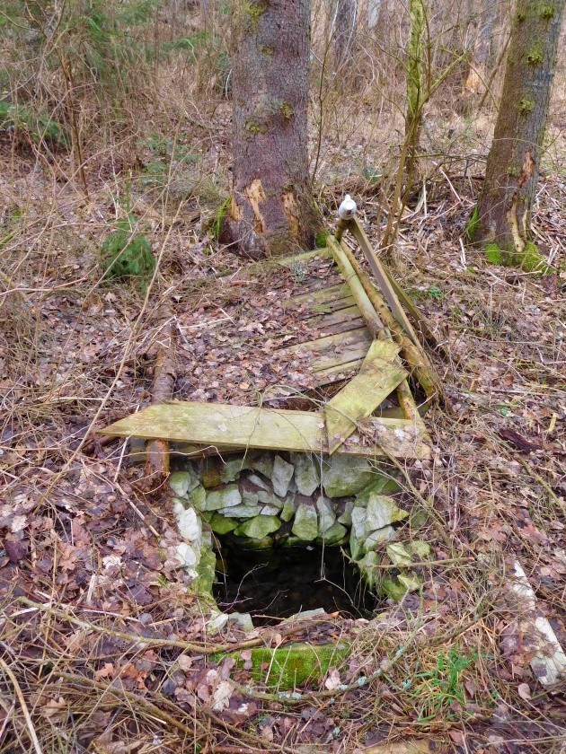 studánka bez jména (7543)