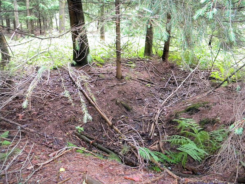 studánka U Bílé (7575)