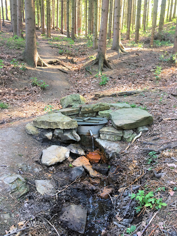 studánka Kořenkova kyselka (7576)