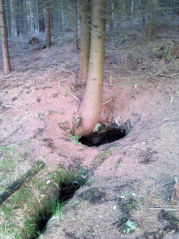 studánka Pod Zadní horou (7580)