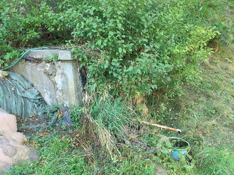 studánka bez jména (7583)