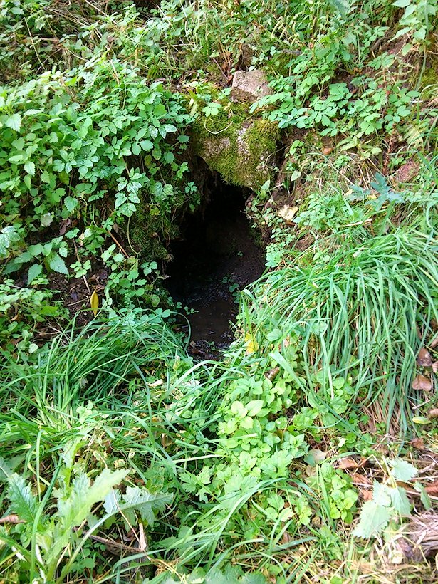 studánka Ocmanická (7586)