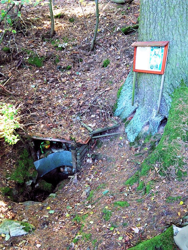 studánka bez jména (7595)