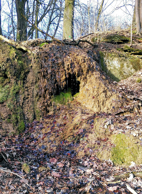pramen Nad vodopádem (7597)