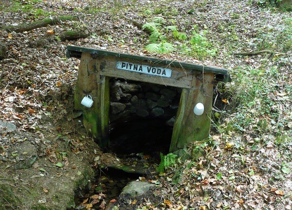 Studánka u Sv. Martina (7604)