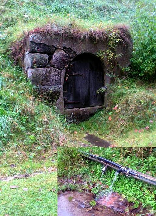 Osinalická studánka (7614)