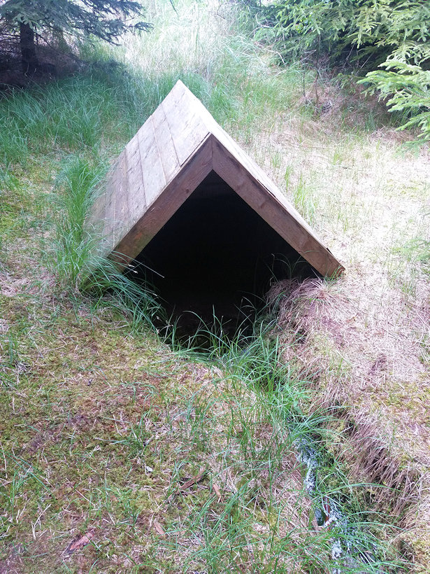 studánka Pod Březovou mytí (7618)