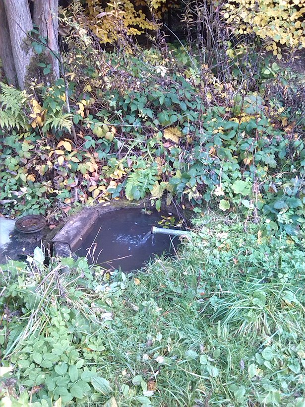 studánka Nad skokanským můstkem (7624)