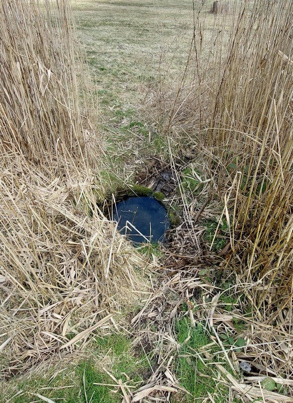 studánka Na Přívratské (7625)