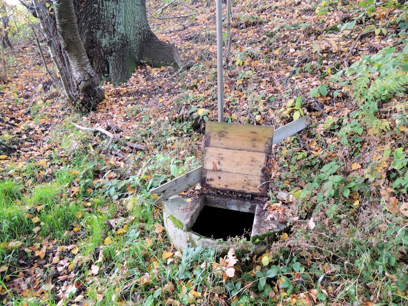 studánka bez jména (7631)