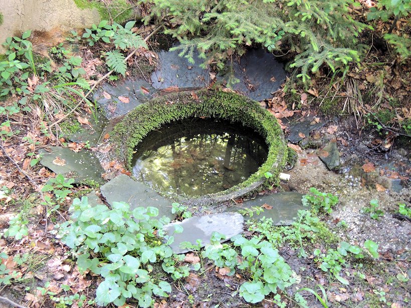 studánka Dvojitá (7634)