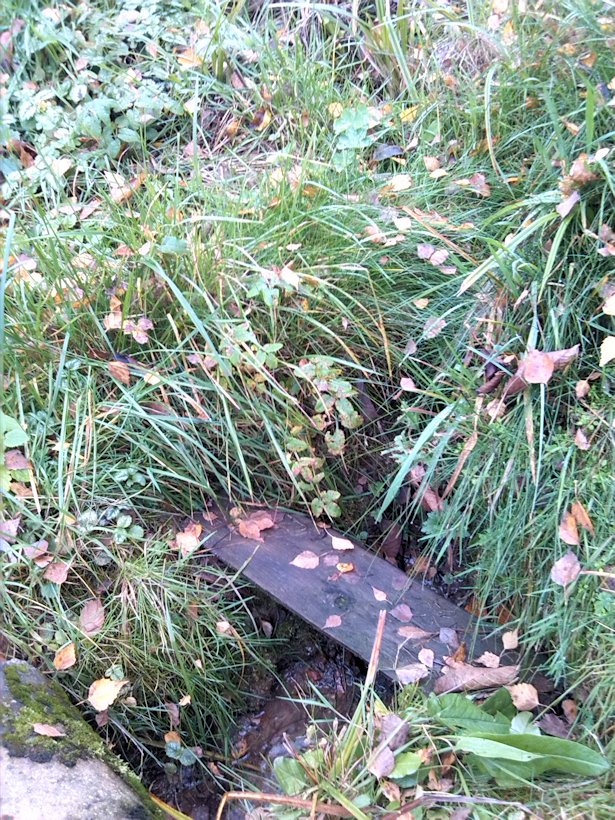 studánka V zahrádkách I (7638)