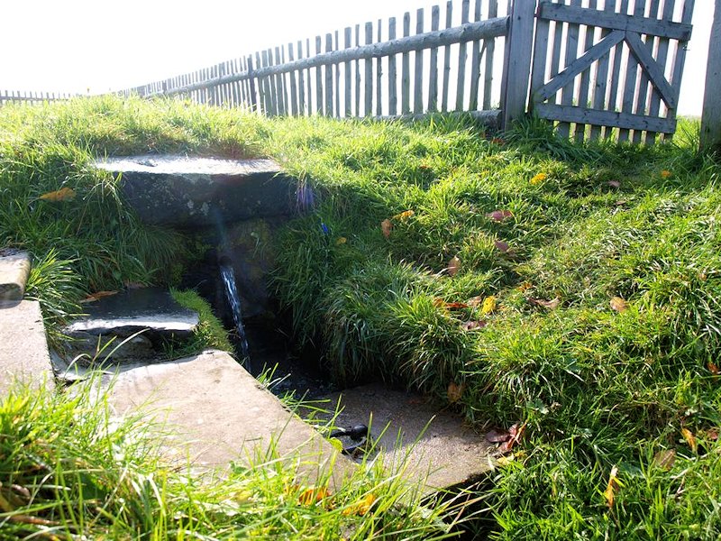 studánka bez jména (7645)