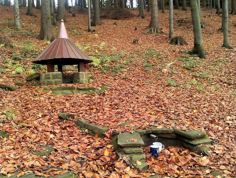 studánka V Bukovém háji (7647)