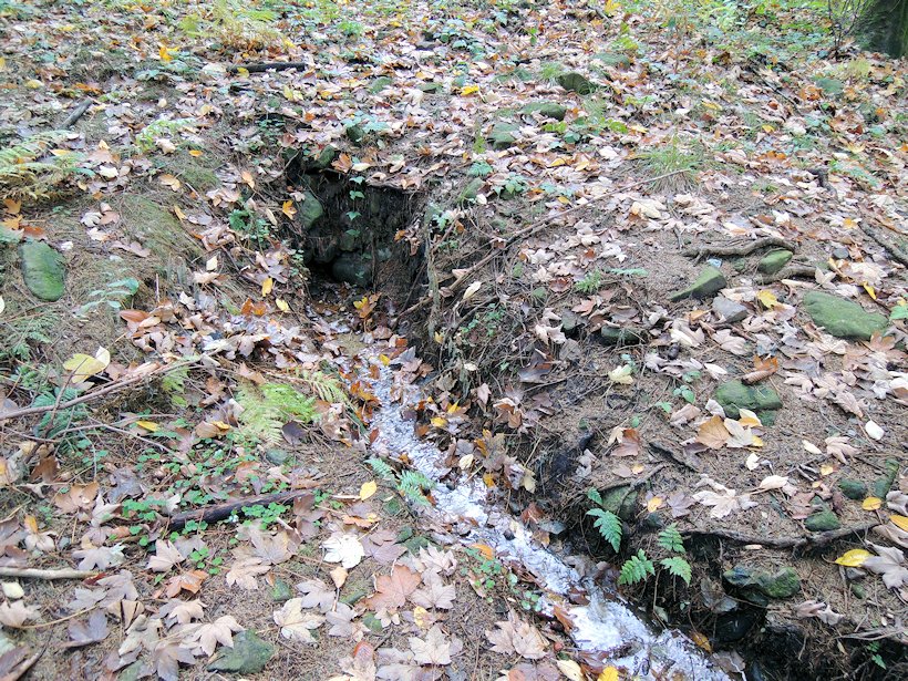 pramen bez jména (7652)