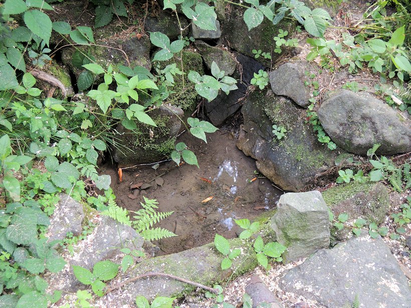 studánka bez jména (7653)
