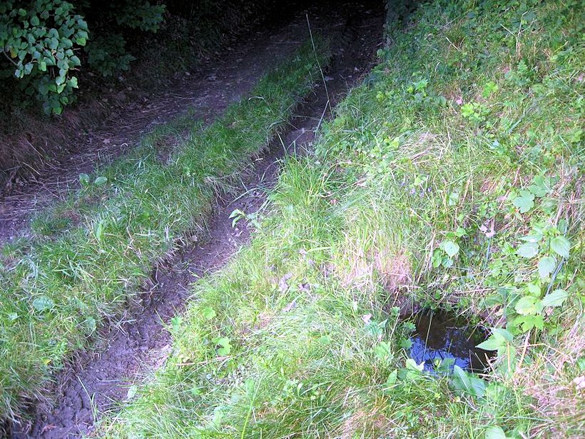 studánka bez jména (7658)