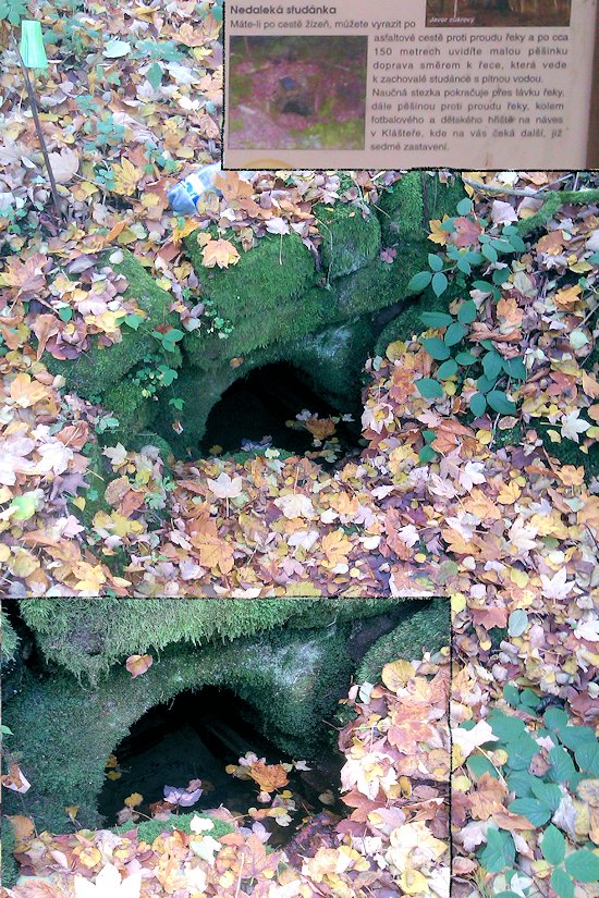 studánka Pod Zelenou horou (7663)