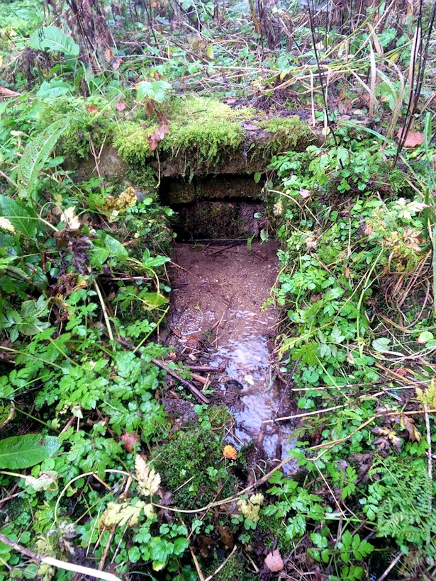 studánka Kočovka (7666)