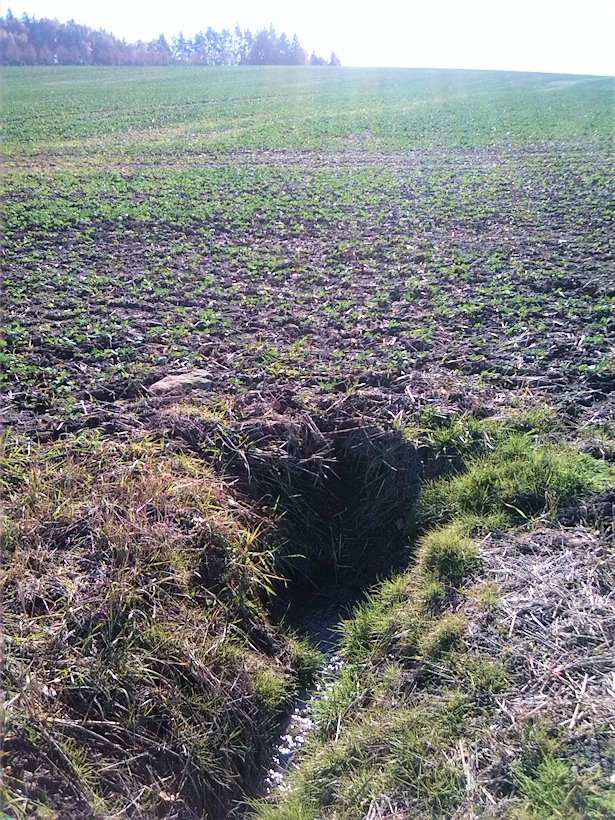 Višňárská studánka (7669)