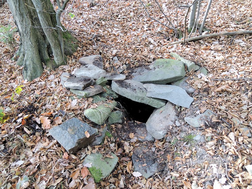 studánka bez jména (7678)