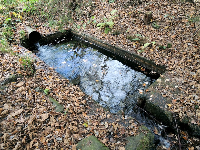 jiný vodní zdroj Studánka u Barabu (7679)