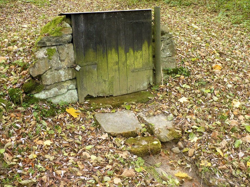 studánka bez jména (7686)