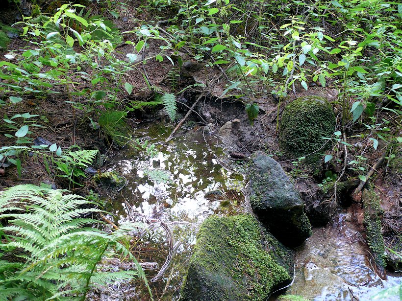 studánka Pod Janovkou (7688)