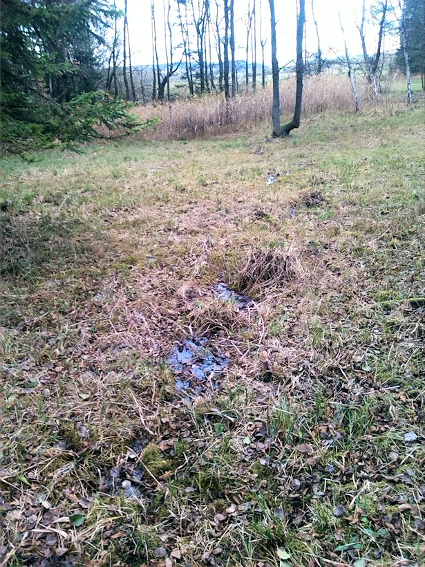 prameniště Za farou (7690)