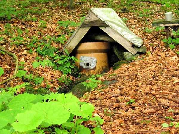 Studánka nad Kosaři (7695)