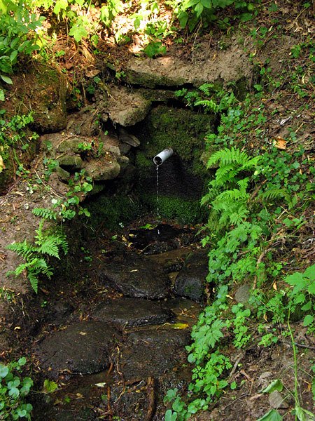 studánka Pod hřbitovem (7699)