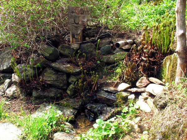 Raclova studánka (7700)