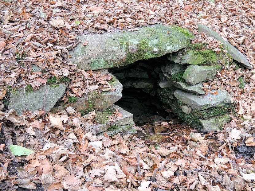 studánka bez jména (7702)