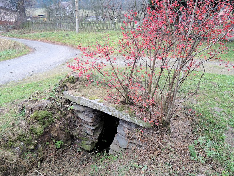 studánka bez jména (7703)