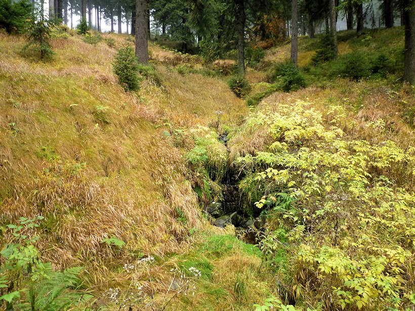 studánka Mittelbach (7710)
