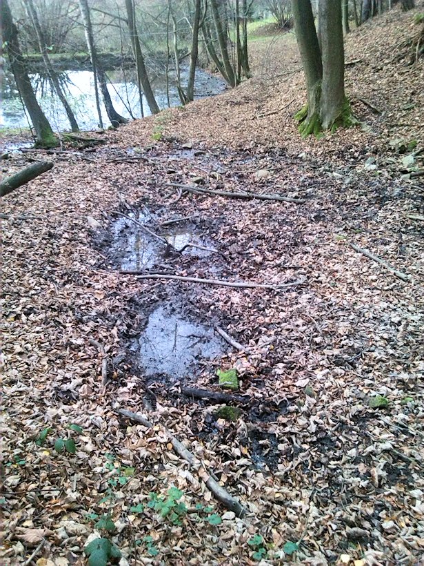 prameniště Nad rybníčkem (7716)