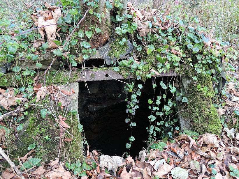 studánka bez jména (7717)