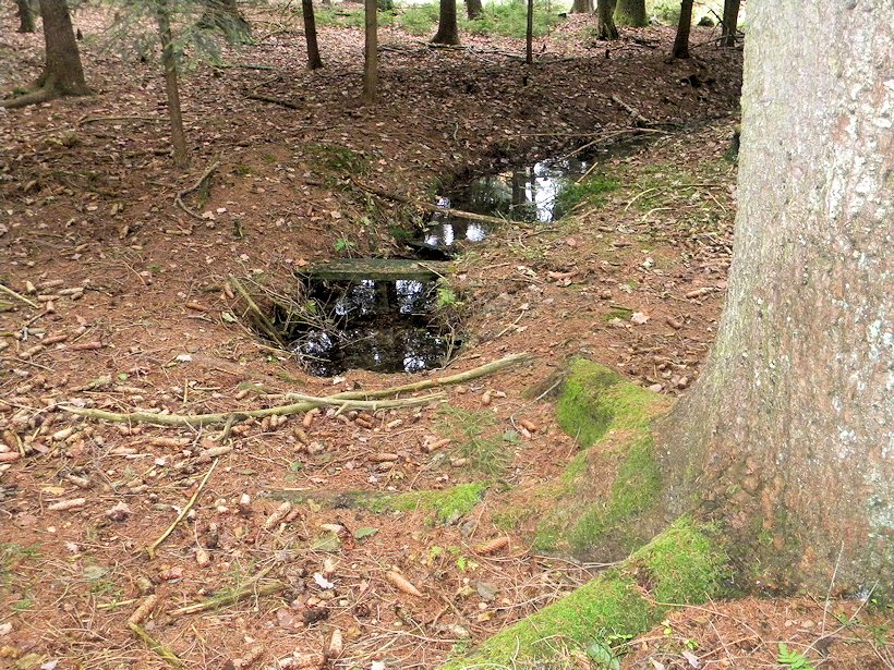 studánka bez jména (7726)