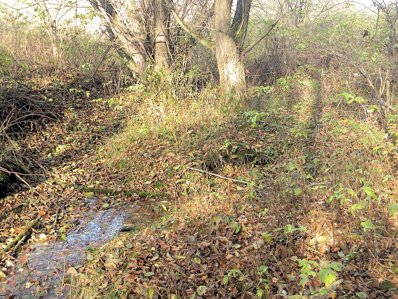 studánka U dolního farského (7727)
