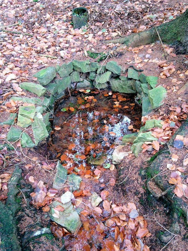 studánka V Modříní (7747)
